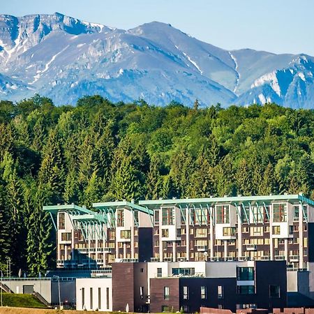 Ted Penthouse Silver Mountain 포이아나브라소프 외부 사진