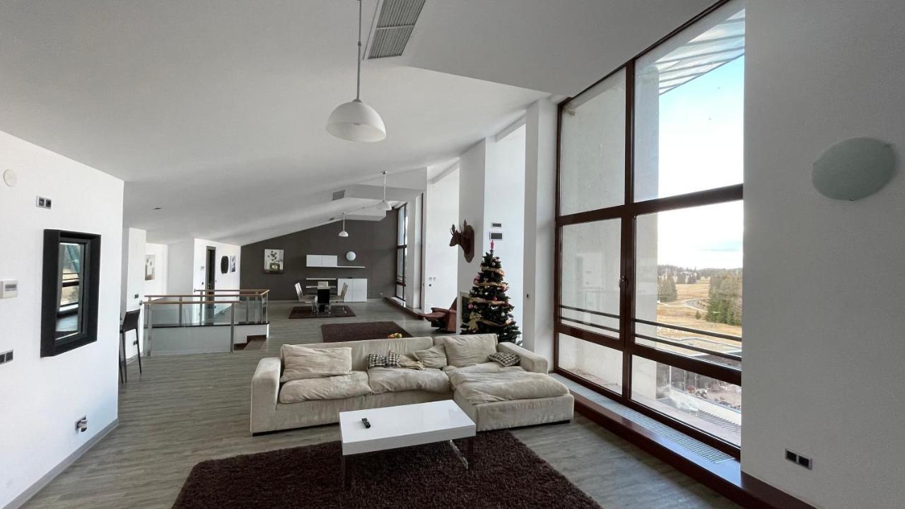 Ted Penthouse Silver Mountain 포이아나브라소프 외부 사진