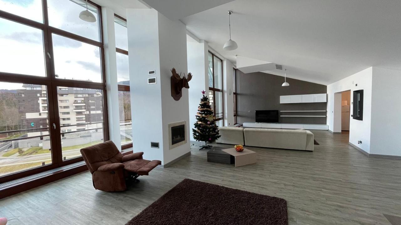 Ted Penthouse Silver Mountain 포이아나브라소프 외부 사진